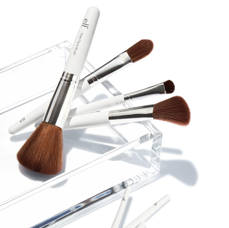 Proffessional 12 pcs Brush Kit
