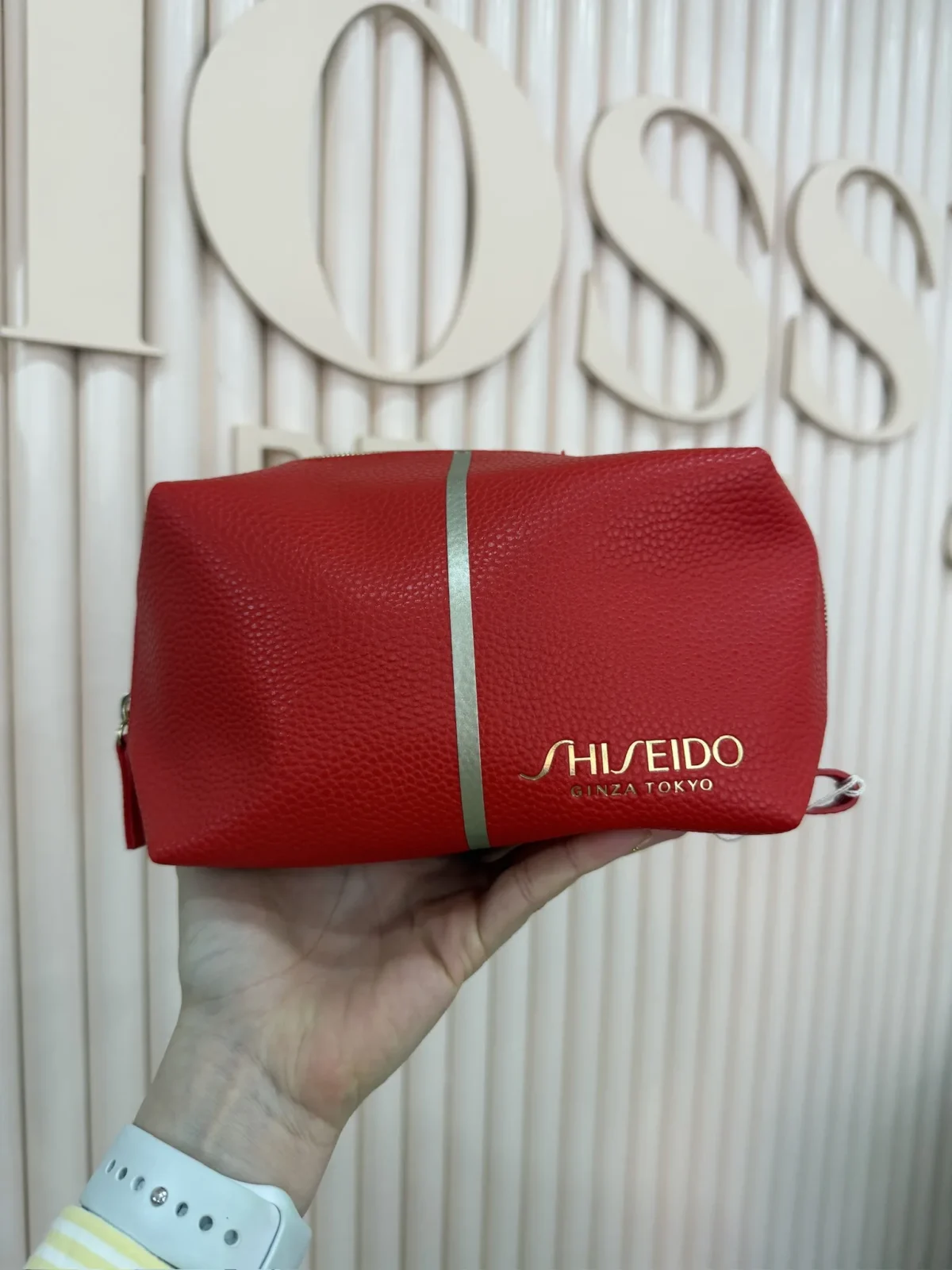 Shiseido Makeup Bag + Gifts